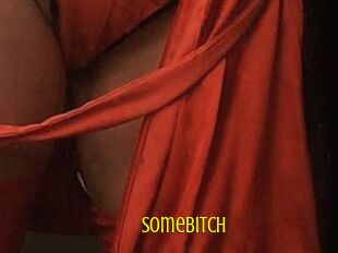 Somebitch