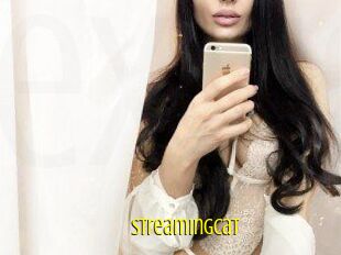 Streamingcat