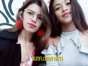 SunFlowerhots