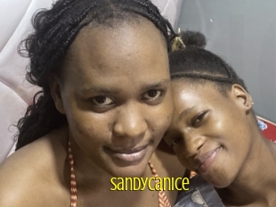 Sandycanice
