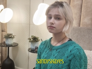 Sandyshayes