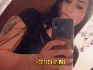 Scarlethrush