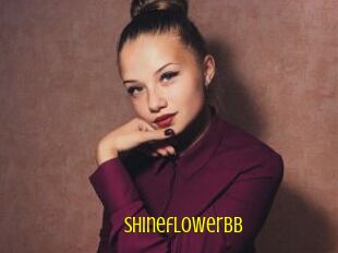 Shineflowerbb