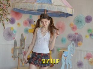 Shytulip