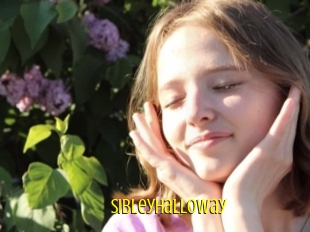 Sibleyhalloway