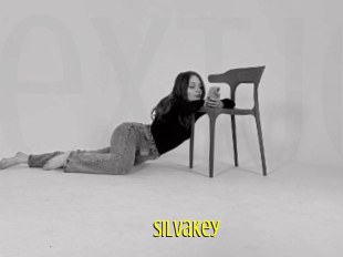 Silvakey