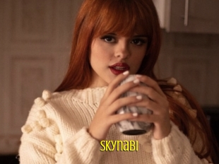 Skynabi