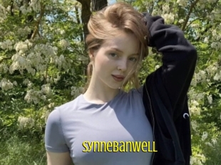Synnebanwell