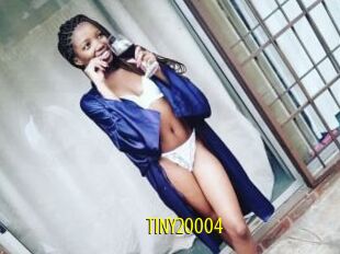 TINY20004