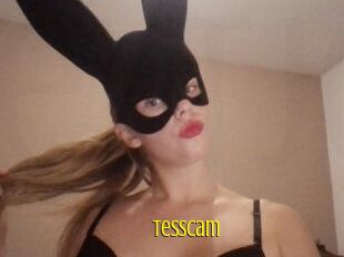 Tesscam