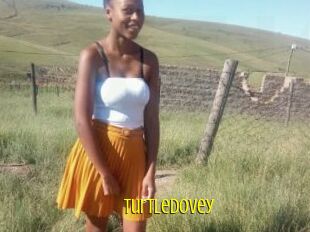 Turtledovey