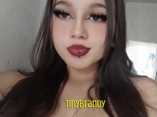 Tinybrandy