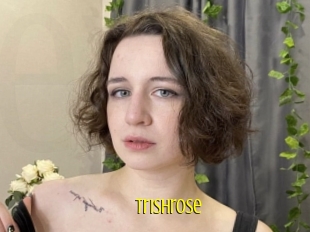Trishrose