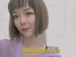 Vaginalplumblossom