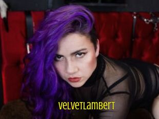 VelvetLambert