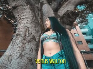 Venus_Walton
