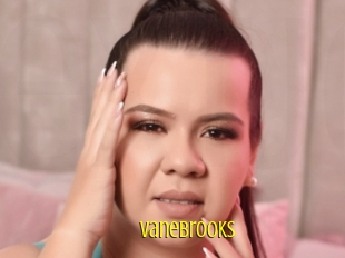 Vanebrooks