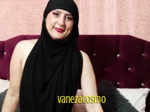 Vanezacosmo