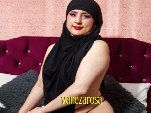 Vanezarosa
