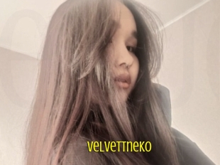 Velvettneko