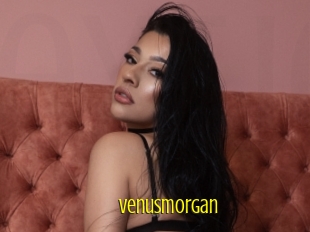 Venusmorgan