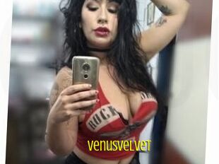 Venusvelvet