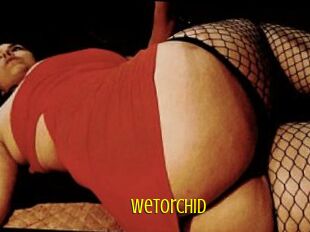WetOrchid