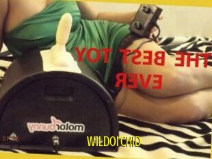 WildOrchid_