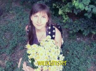 Wildcumster