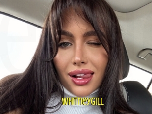 Whitneygill