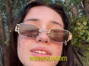 Whitneygleghorn