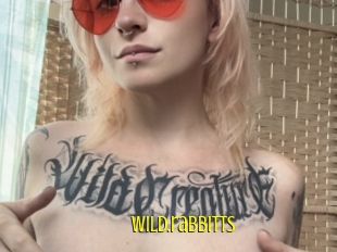 Wild.rabbitts