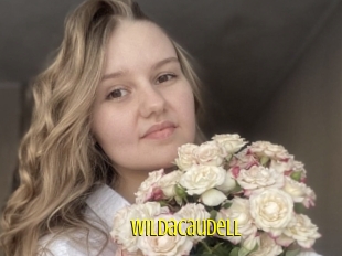 Wildacaudell