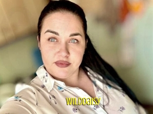 Wilddaisy
