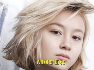 Wilonefudge