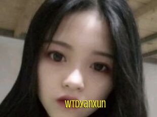 Wtdyanxun