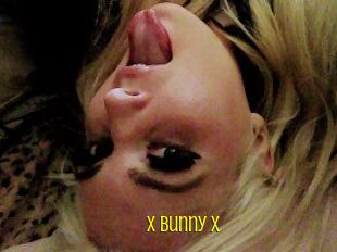 _x_Bunny_x_
