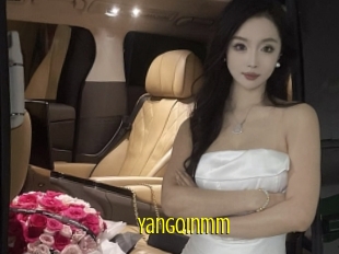 Yangqinmm