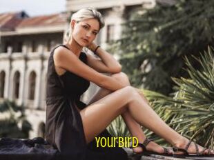 Yourbird