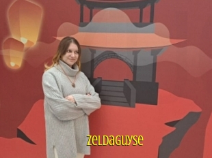 Zeldaguyse